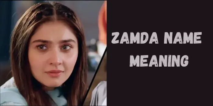 Zamda Meaning in Urdu and English