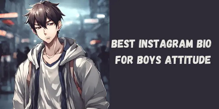 Instagram Bio For Boys Attitude