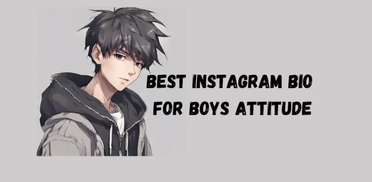 Best Instagram Bio For Boys Attitude