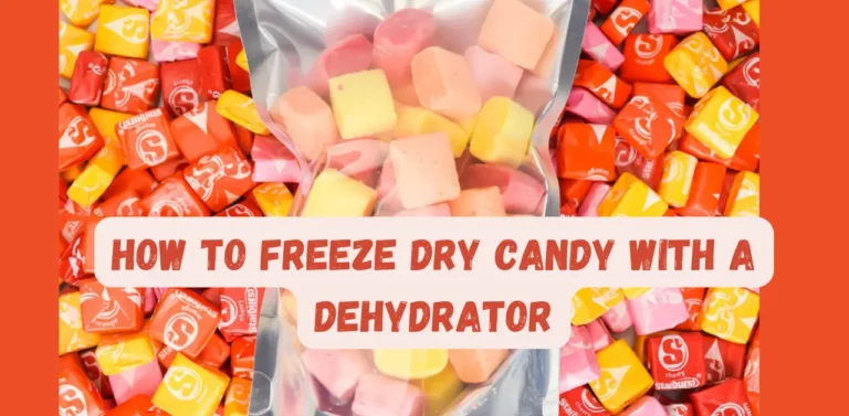 How To Freeze Dry Candy With a Dehydrator