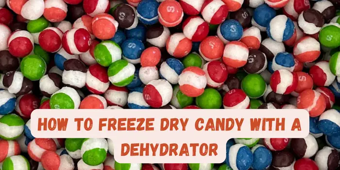 How To Freeze Dry Candy With a Dehydrator