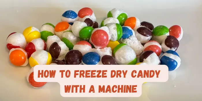 How To Freeze Dry Candy With a Machine